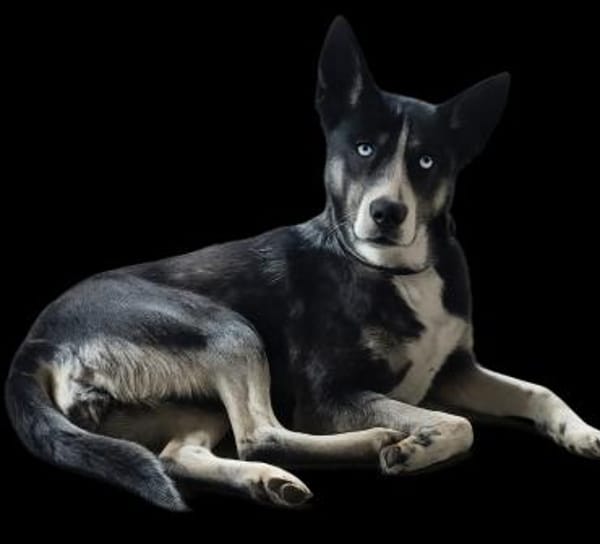 Freya sehnt sich nach Liebe