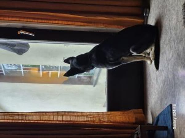 Freya sehnt sich nach Liebe