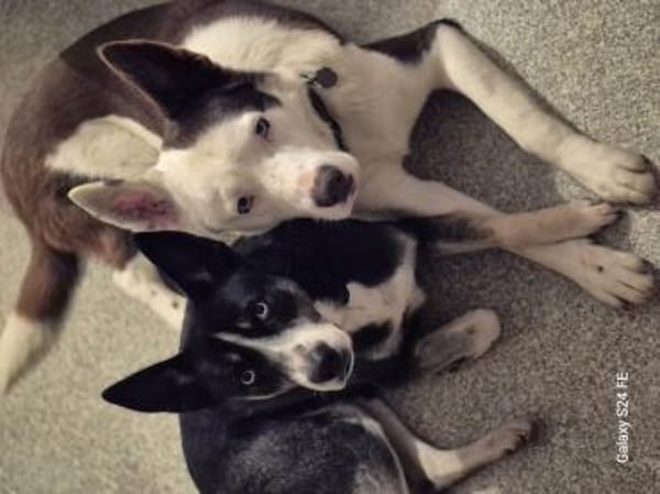 Freya sehnt sich nach Liebe