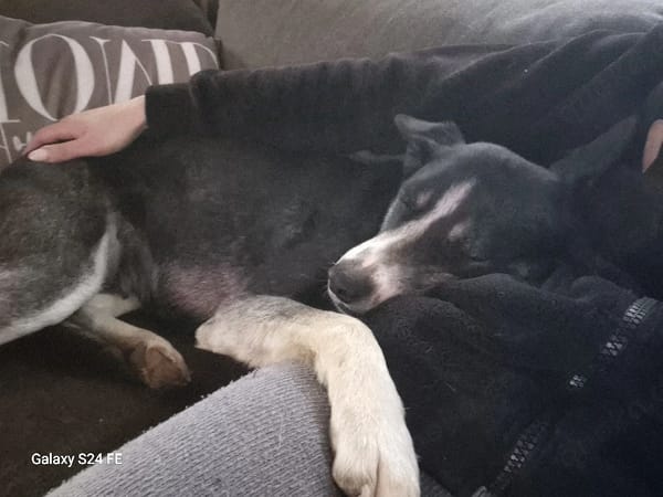 Freya sehnt sich nach Liebe