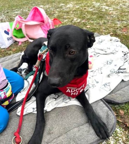 Benni - kleiner Charmeur