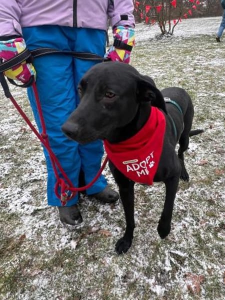 Benni - kleiner Charmeur