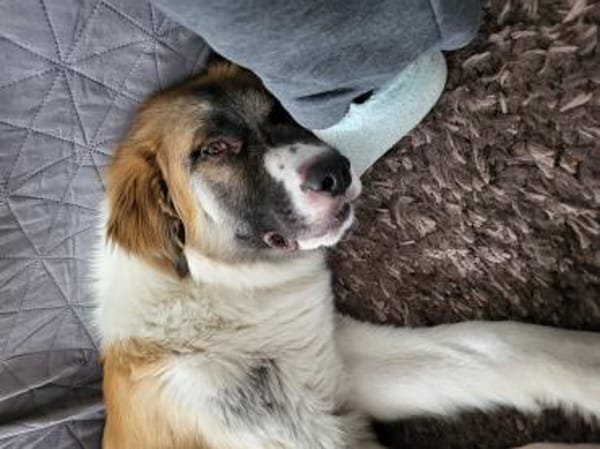 Martin sucht tolle Familie