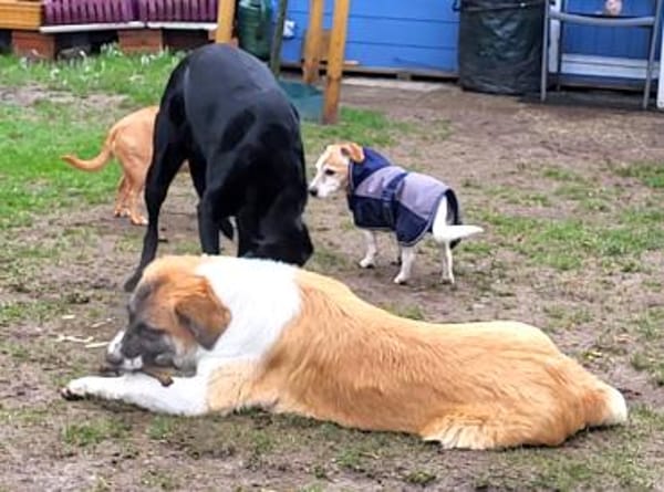 Martin sucht tolle Familie