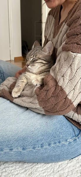 Naomi und Rodanthi aus dem Tierschutz