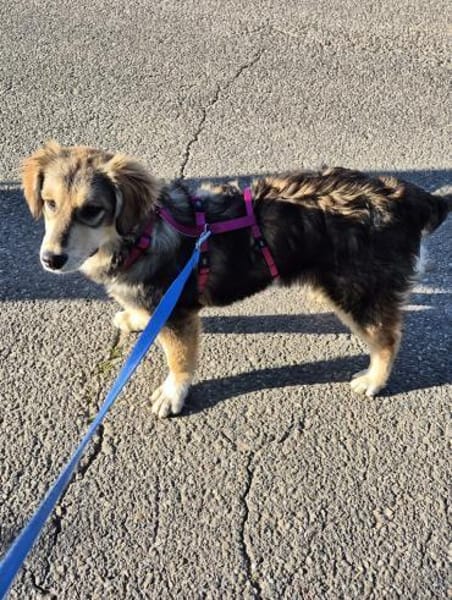 Lisa W 9/25 in 67147