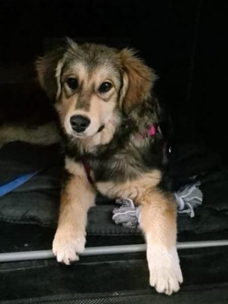 Lisa W 9/25 in 67147