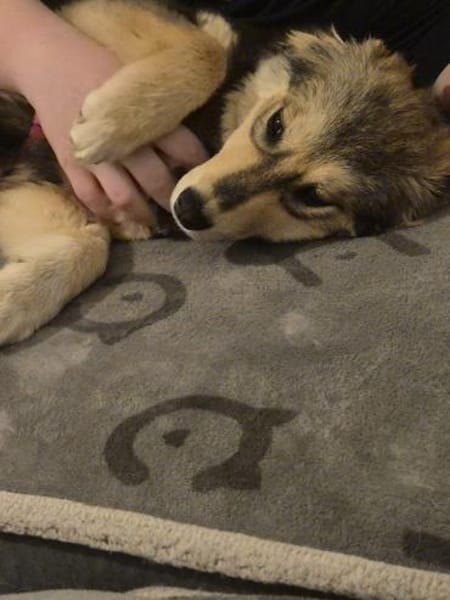 Lisa W 9/25 in 67147