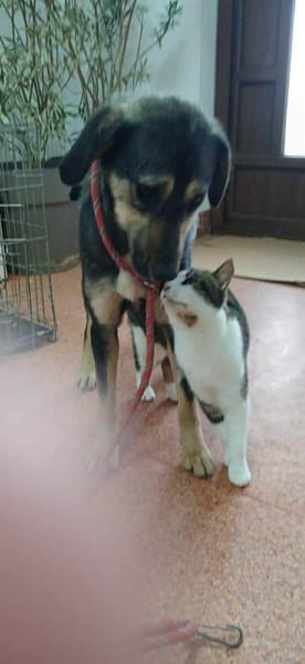 Leika wartet in Bayern auf ihre Chance!