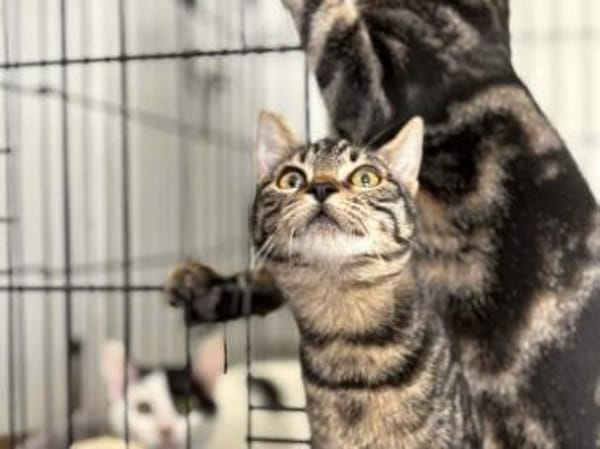 Dunja, kleine Entdeckerin, ca. 8 Monate