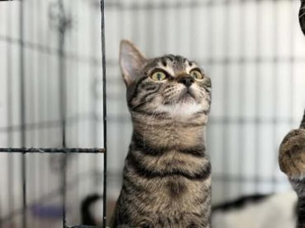 Dunja, kleine Entdeckerin, ca. 8 Monate