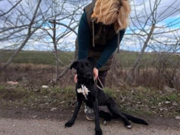 Bogár, liebevolle Herzensbrecherin, 1 J.