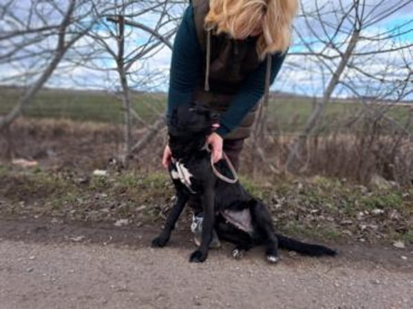 Bogár, liebevolle Herzensbrecherin, 1 J.