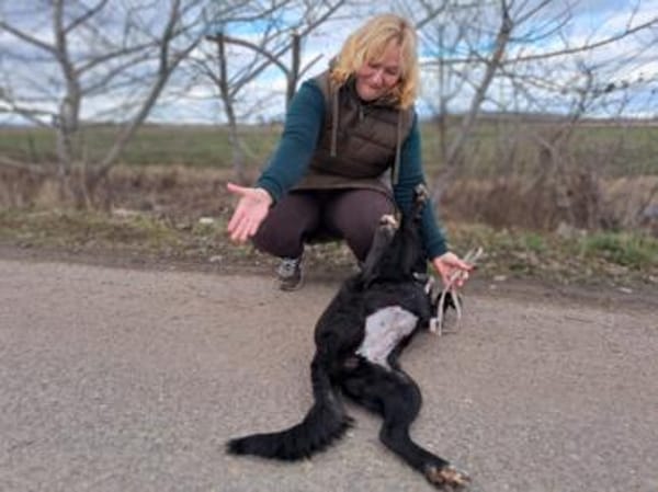 Bogár, liebevolle Herzensbrecherin, 1 J.