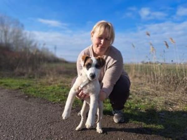 Beethoven, fröhliches Energiebündel