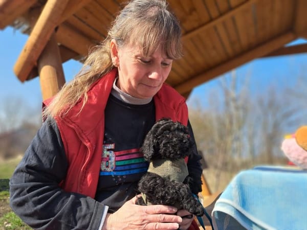 Arthos, kleines Energiebündel, ca. 4 Mon