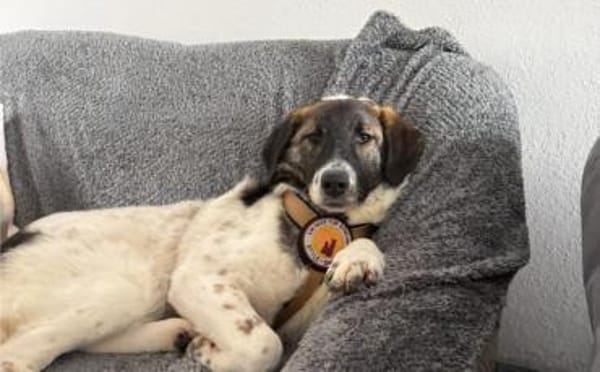 Kleiner Wonneproppen Süntje