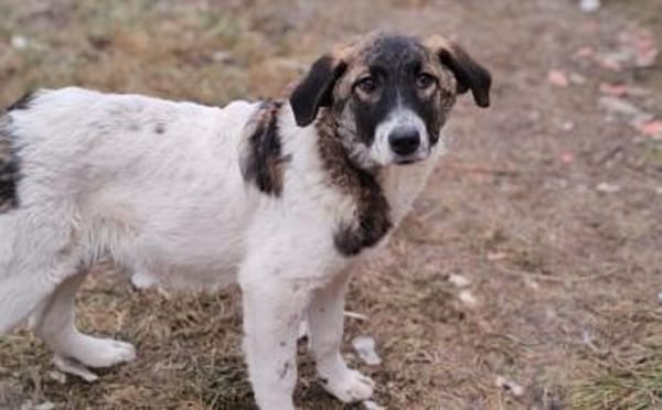 Kleiner Wonneproppen Süntje