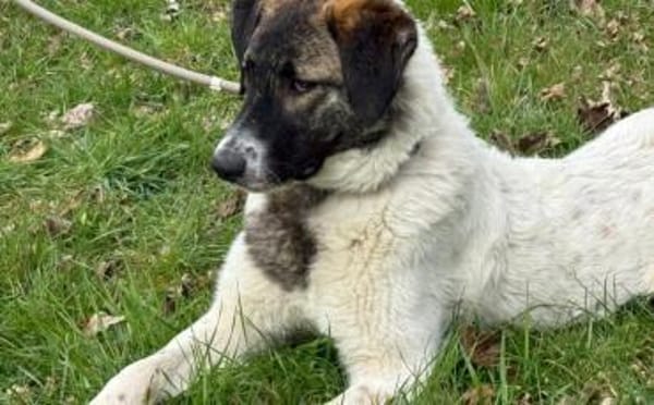 Kleiner Wonneproppen Süntje