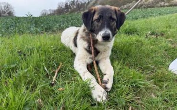 Kleiner Wonneproppen Süntje