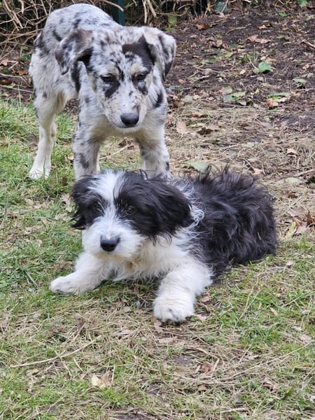 Schüchterne junge Bonny sucht Familie