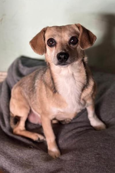 Sanfte ♥ Mirna ♥ in 67663 Kaiserslautern