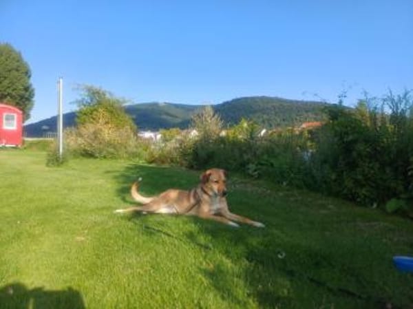 Juna - liebe, feinsinnige und sensible