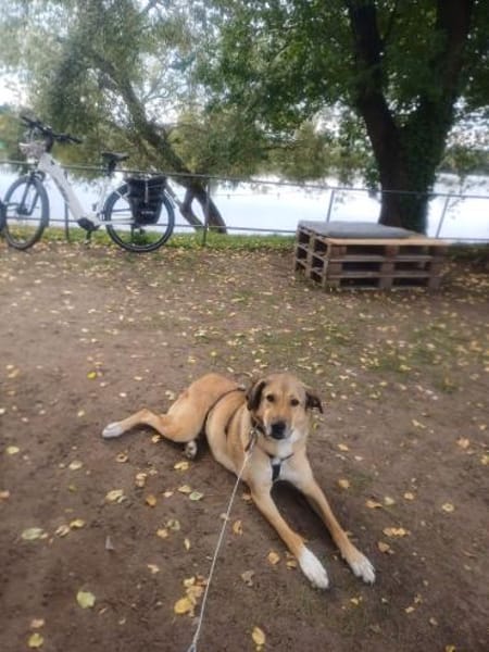 Juna - liebe, feinsinnige und sensible