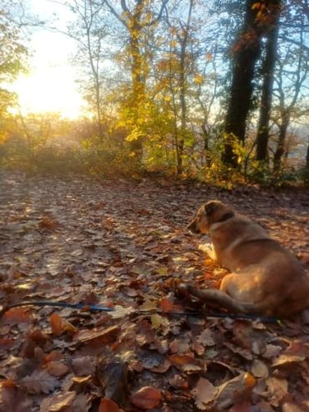 Juna - liebe, feinsinnige und sensible