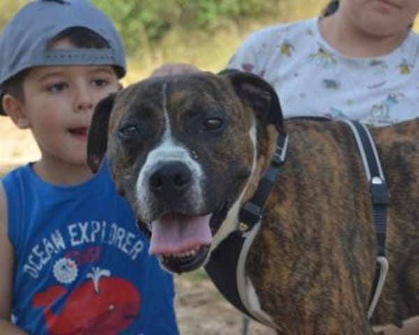 Santo braucht Liebe, kein Mitleid