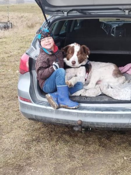Pasquale sucht warmes Körbchen!
