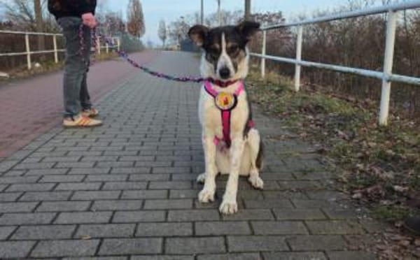 Wer schenkt der hübschen Kiwi sein Herz?