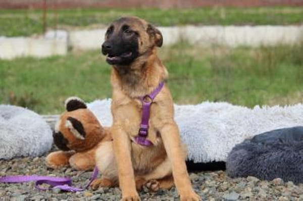 Kessy unsere große Schönheit ...