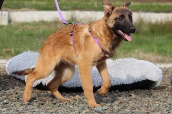 Kessy unsere große Schönheit ...