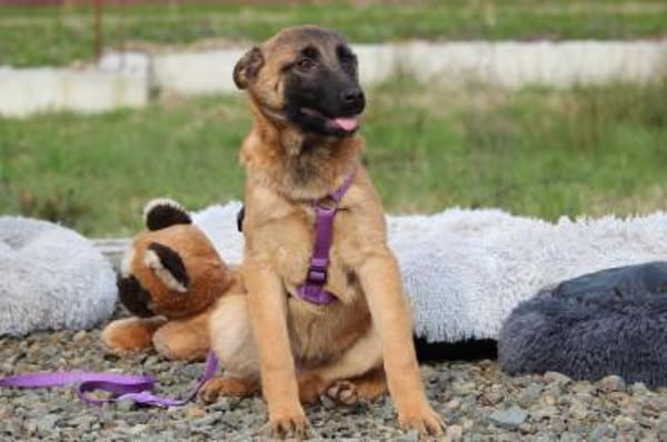 Kessy unsere große Schönheit ...