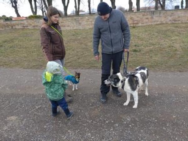 Golden Girl - lustig, entspannt und aufg