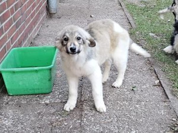 Bezaubernde Alley sucht ihre Familie