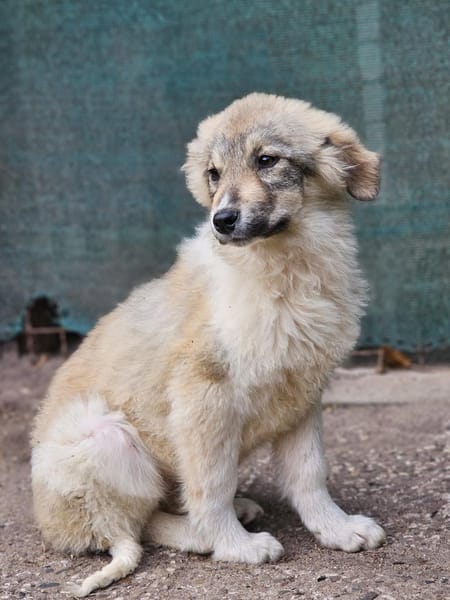 Bezaubernde Alley sucht ihre Familie