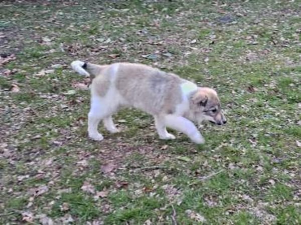 Bezaubernde Alley sucht ihre Familie