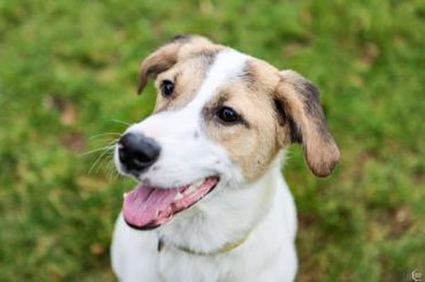 Enna, selbstbewusst und lebhaft