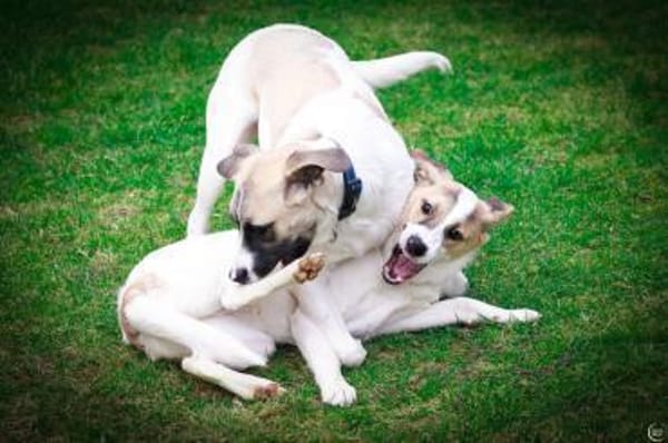 Enna, selbstbewusst und lebhaft