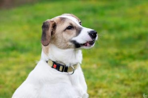 Enna, selbstbewusst und lebhaft