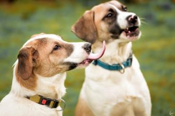 Enna, selbstbewusst und lebhaft