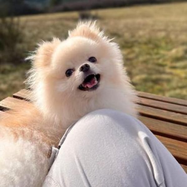 Bijou - ist gesprächig