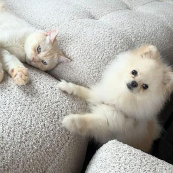 Bijou - ist gesprächig