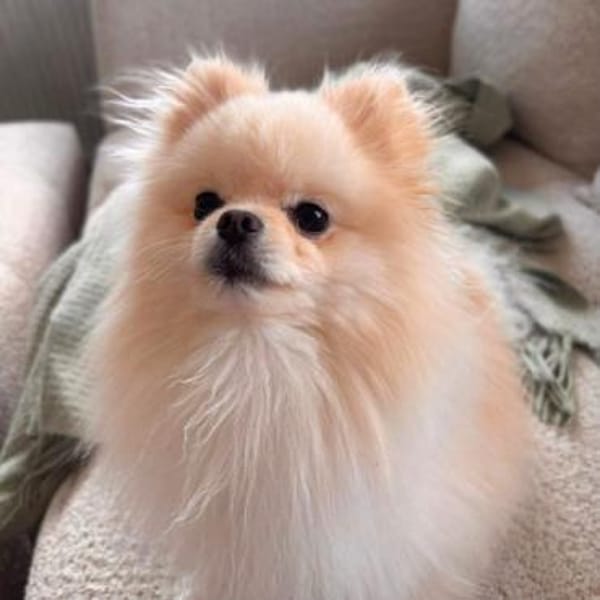 Bijou - ist gesprächig