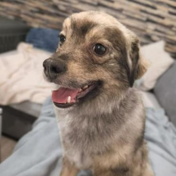 Kunibert - ist verunsichert