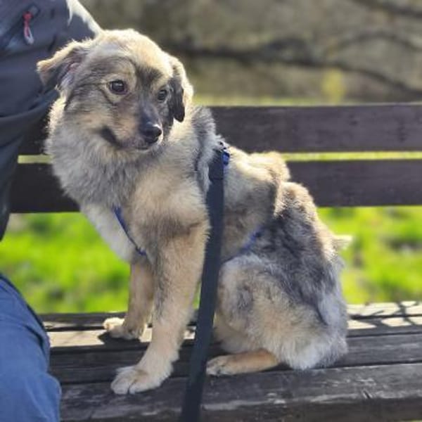 Kunibert - ist verunsichert