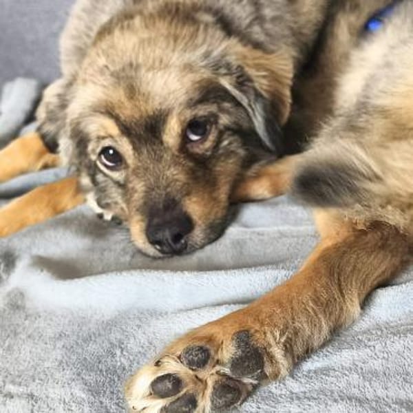 Kunibert - ist verunsichert