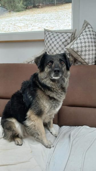 TIMA * braucht Verständnis & Sicherheit